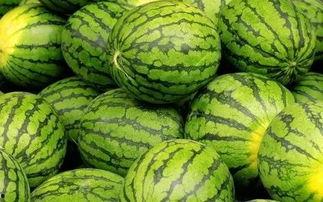 吃瓜网每日大赛往期内容,回顾往期精彩瞬间,揭秘热门选手幕后故事